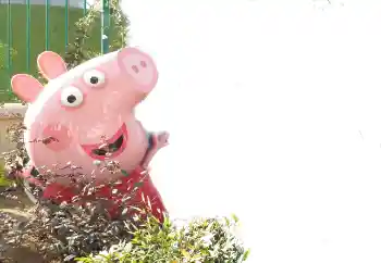 Fotoeffekt fra kategori Ulike rammer for bilder med barn № 101439 Fotoeffekt fra kategori Ulike rammer for bilder med barn № 101439