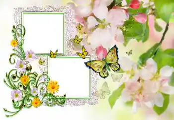 Innskriften på rammen: Gratulerer!