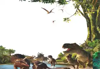 Fotoeffekt fra kategori Ulike rammer for bilder med barn № 153254