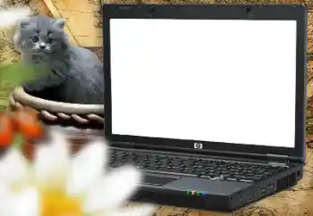 Fotoeffekt fra kategori Ulike rammer for bilder med barn № 157214