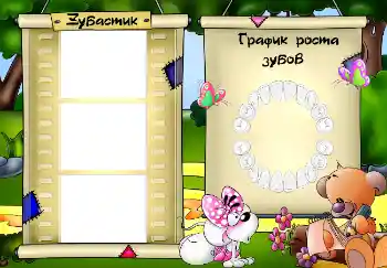 Innskriften på rammen: Schedule of teething Innskriften på rammen: Schedule of teething