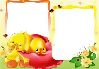 Fotoeffekt fra kategori Landsbyen og hytte № 35141