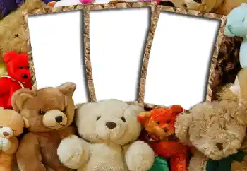 Fotoeffekt fra kategori Lekene mine og kjæledyr № 6505 Fotoeffekt fra kategori Lekene mine og kjæledyr № 6505