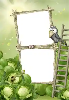 Fotoeffekt fra kategori Første år № 140978