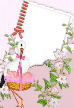 Fotoeffekt fra kategori Første år № 150384