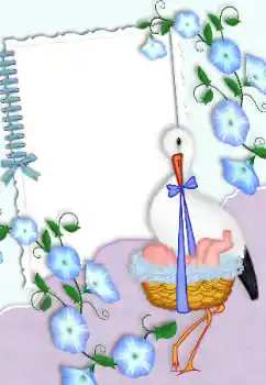 Fotoeffekt fra kategori Første år № 99875