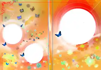 Fotoeffekt fra kategori Etiketter for DVD № 145141 Fotoeffekt fra kategori Etiketter for DVD № 145141