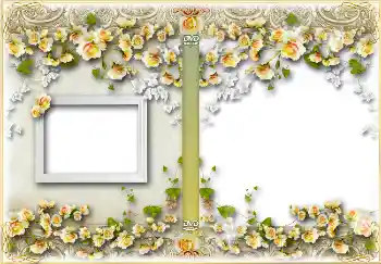 Fotoeffekt fra kategori Etiketter for DVD № 4457. Innskriften på rammen: Bursdag