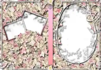 Fotoeffekt fra kategori Etiketter for DVD № 4459. Innskriften på rammen: Hjemme-arkiv