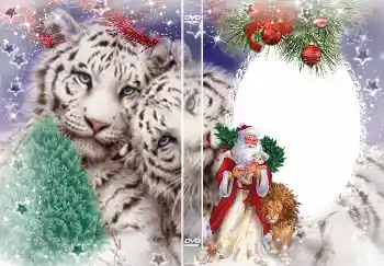 Fotoeffekt fra kategori Etiketter for DVD № 4463. Innskriften på rammen: Nyttår