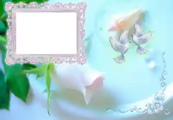 Innskriften på rammen: Bryllupsinvitasjon