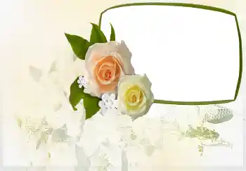 Innskriften på rammen: Invitasjon til ...