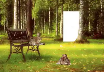 Fotoeffekt fra kategori Kalendere № 169048. Innskriften på rammen: 2026