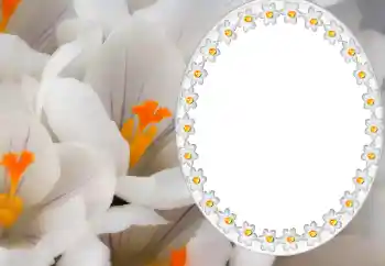 Fotoeffekt fra kategori Kalendere № 80371. Innskriften på rammen: 2026 Fotoeffekt fra kategori Kalendere № 80371. Innskriften på rammen: 2026