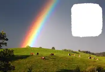 Fotoeffekt fra kategori Ulike № 114599