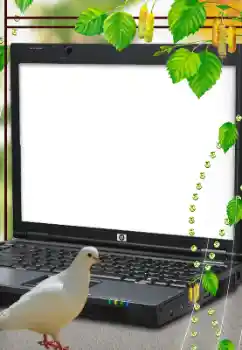 Fotoeffekt fra kategori Ulike № 114633