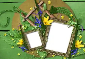 Fotoeffekt fra kategori Ulike № 115748 Fotoeffekt fra kategori Ulike № 115748