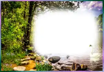 Fotoeffekt fra kategori Ulike № 127169