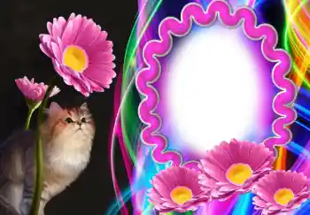 Fotoeffekt fra kategori Ulike № 138543