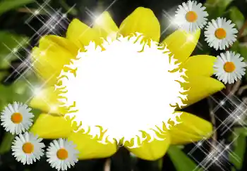 Fotoeffekt fra kategori Ulike № 1530