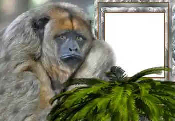Fotoeffekt fra kategori Ulike № 154503