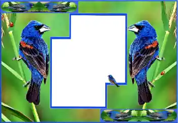 Fotoeffekt fra kategori Ulike № 154512