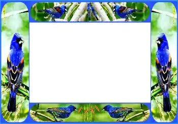 Fotoeffekt fra kategori Ulike № 154514