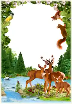 Fotoeffekt fra kategori Ulike № 154547