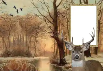 Fotoeffekt fra kategori Ulike № 154607
