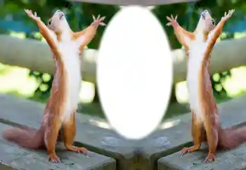Fotoeffekt fra kategori Ulike № 154733