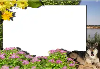Fotoeffekt fra kategori Ulike № 159462
