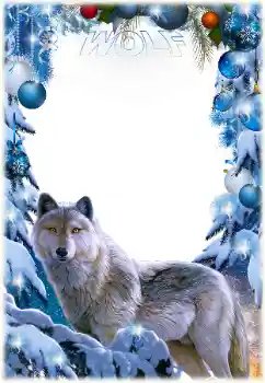 Fotoeffekt fra kategori Ulike № 163432. Innskriften på rammen: Wolf Fotoeffekt fra kategori Ulike № 163432. Innskriften på rammen: Wolf
