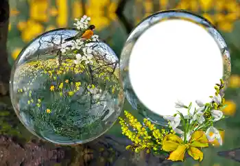 Fotoeffekt fra kategori Ulike № 163601