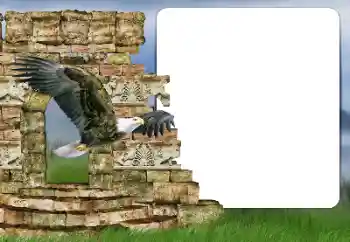 Fotoeffekt fra kategori Ulike № 166357