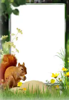 Fotoeffekt fra kategori Ulike № 174270