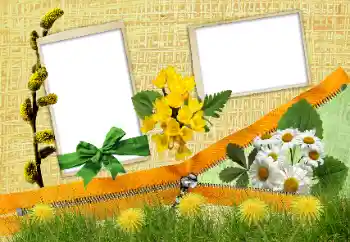 Fotoeffekt fra kategori Ulike № 24285