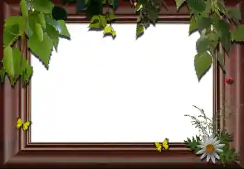 Fotoeffekt fra kategori Ulike № 24288