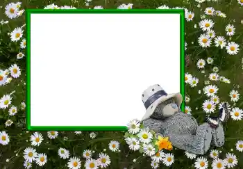 Fotoeffekt fra kategori Ulike № 2893