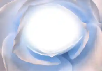 Fotoeffekt fra kategori Ulike № 38328