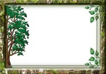 Fotoeffekt fra kategori Ulike № 38357