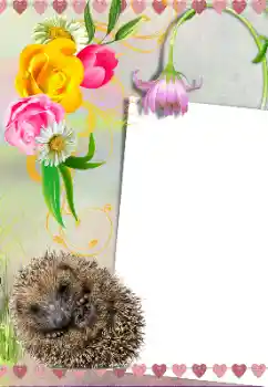 Fotoeffekt fra kategori Ulike № 39281