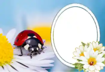 Fotoeffekt fra kategori Ulike № 40356