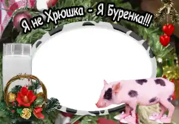 Fotoeffekt fra kategori Ulike № 40370. Innskriften på rammen: Я не Хрюшка - Я Буренка!!!