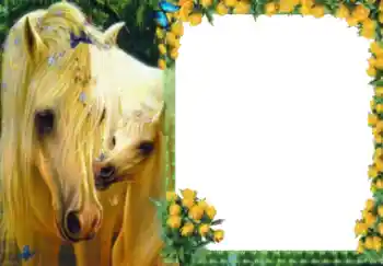 Fotoeffekt fra kategori Ulike № 40511