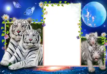 Fotoeffekt fra kategori Ulike № 4599