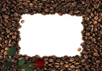 Fotoeffekt fra kategori Ulike № 47320. Innskriften på rammen: God morgen!