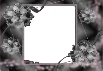 Fotoeffekt fra kategori Begravelse-bånd № 114453