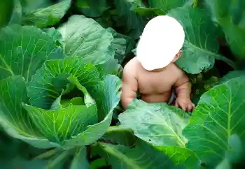 Fotoeffekt fra kategori For barn № 90533