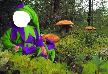 Fotoeffekt fra kategori For barn № 90549