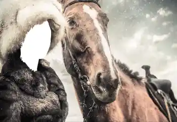 Fotoeffekt fra kategori For kvinner № 38493